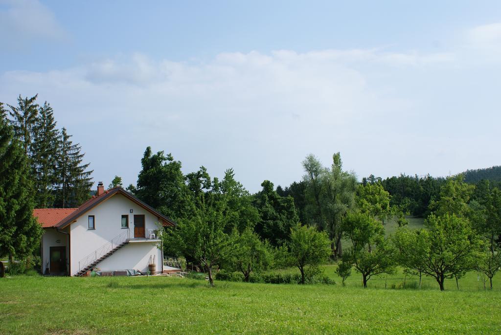 Apartments Leni Postojna Kültér fotó