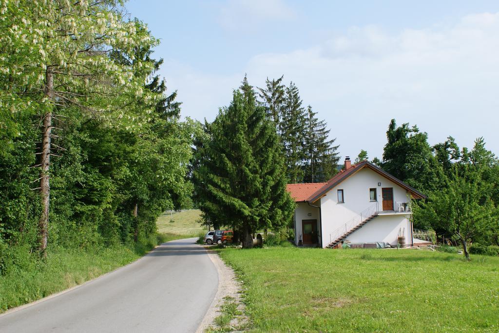 Apartments Leni Postojna Kültér fotó